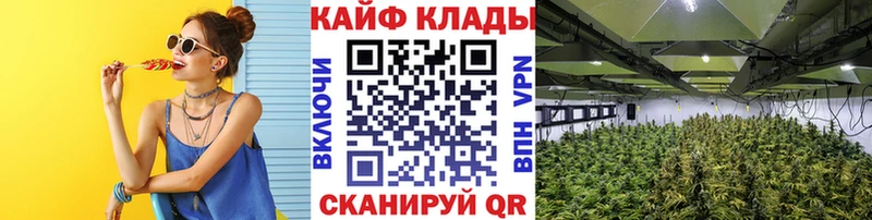 Где найти наркотики Асбест Амфетамин  МЕФ  ГАШИШ  Галлюциногенные грибы  Кокаин 