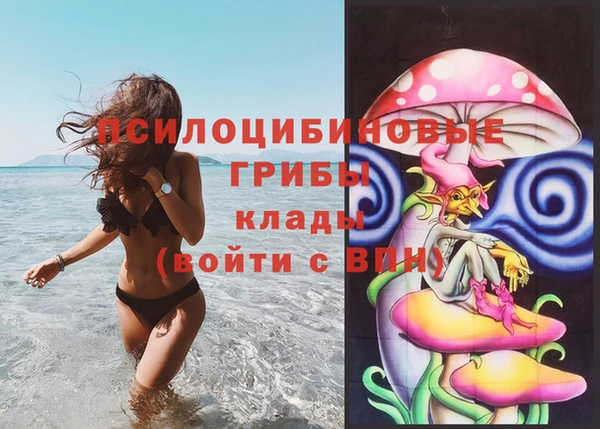 гидропоника Алексин